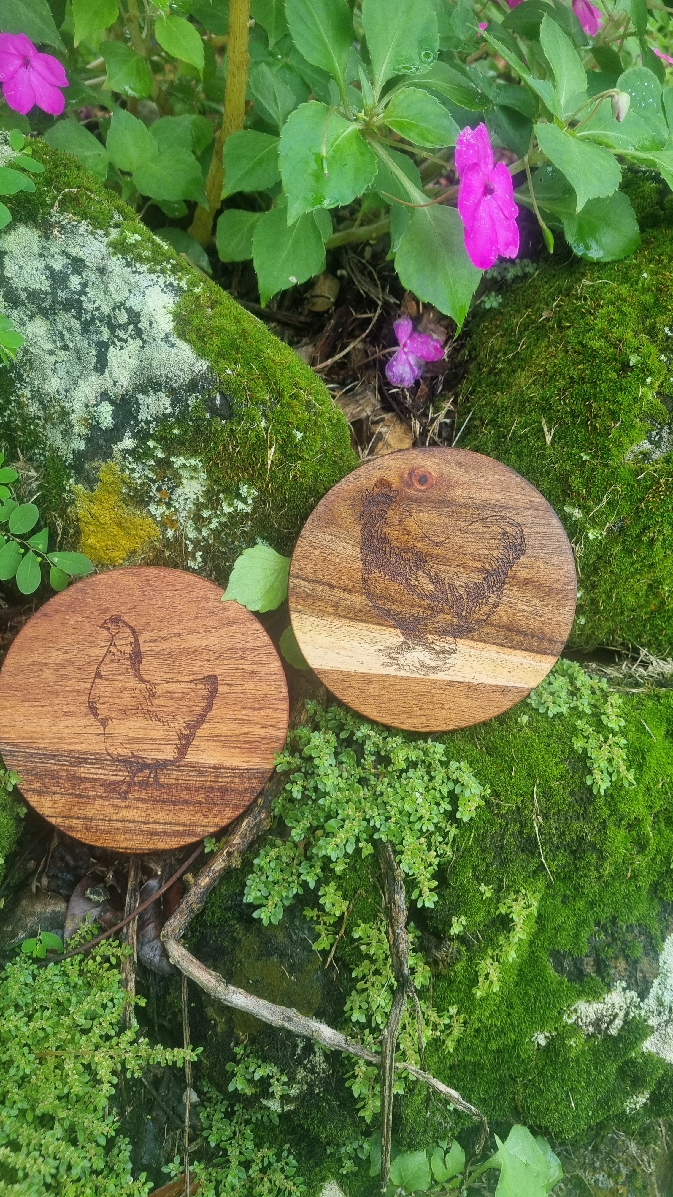 FARM ANIMALS Acacia Wood Laser Engraved Custom Coasters
