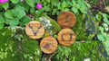 WESTERN Acacia Wood Laser Engraved Custom Coasters