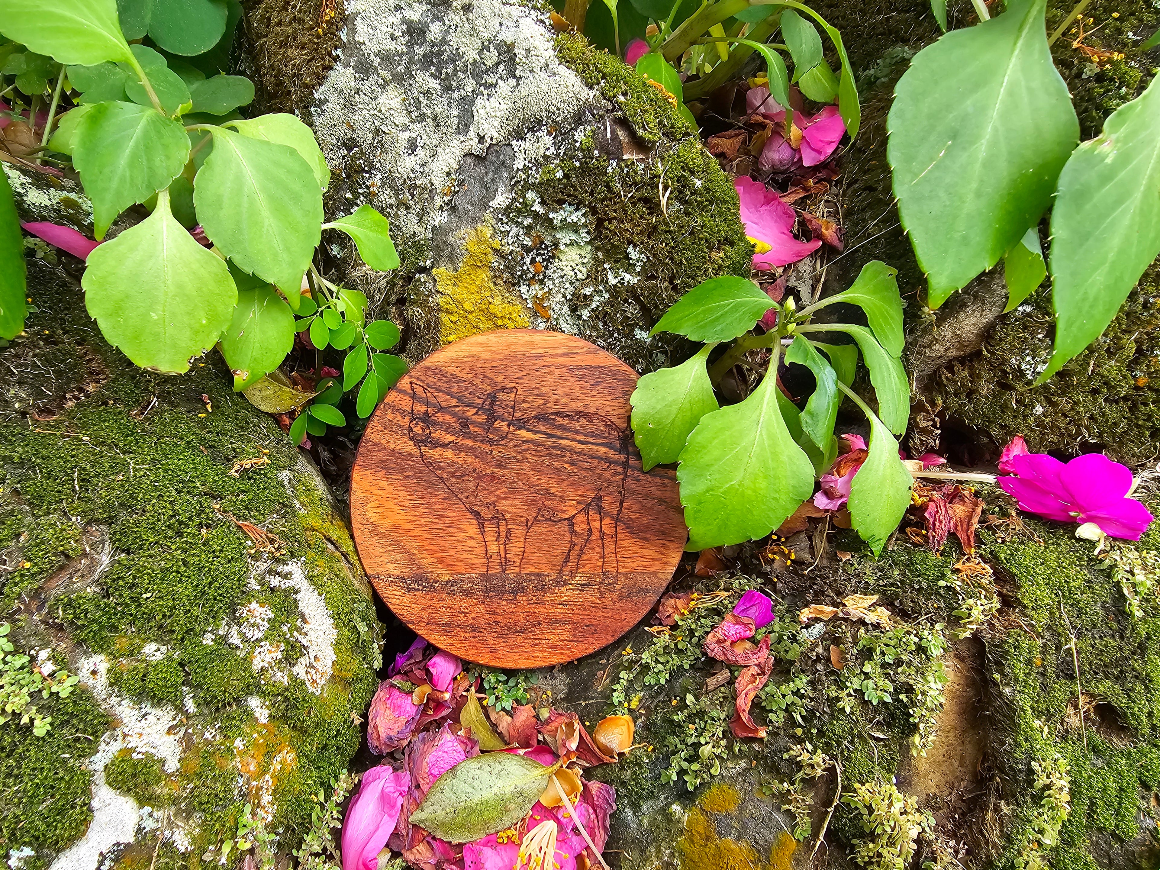 FARM ANIMALS Acacia Wood Laser Engraved Custom Coasters