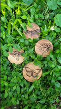 INSECTS Acacia Wood Laser Engraved Custom Coasters