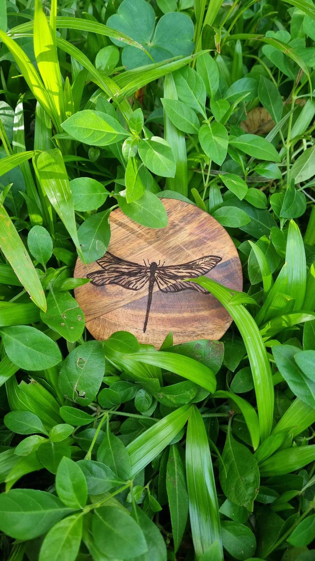 INSECTS Acacia Wood Laser Engraved Custom Coasters
