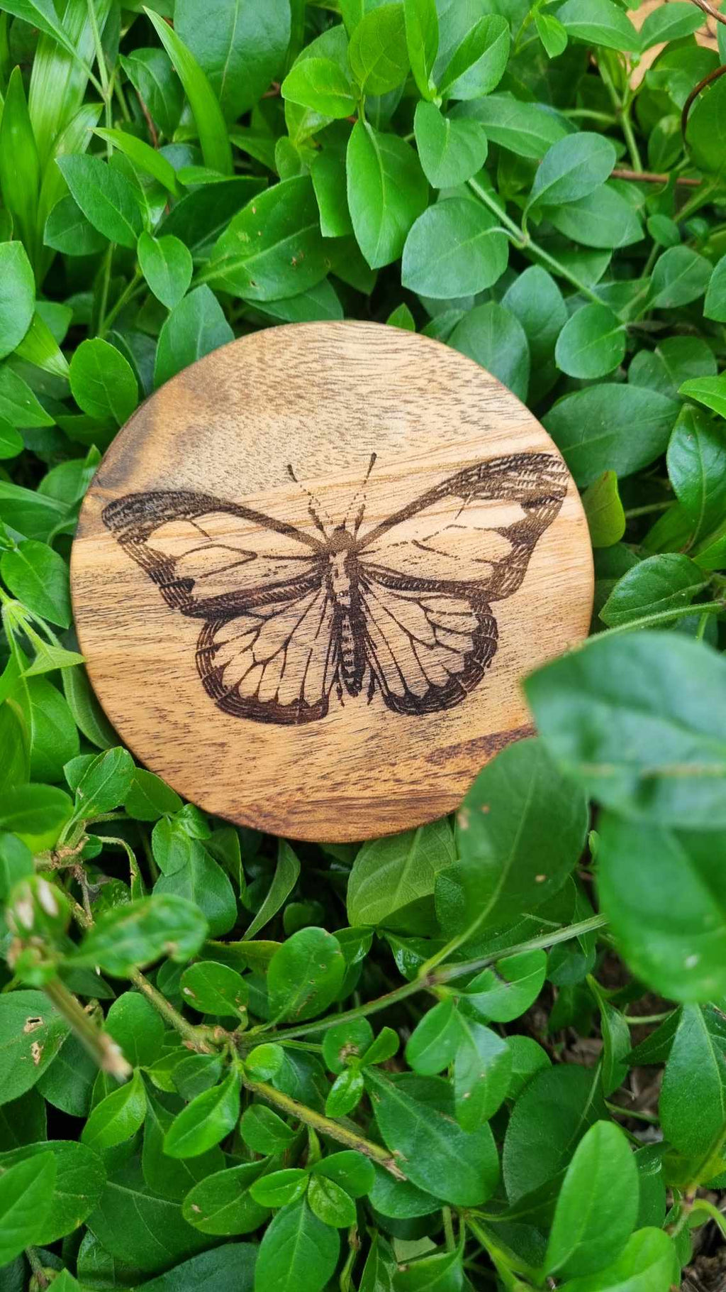 INSECTS Acacia Wood Laser Engraved Custom Coasters