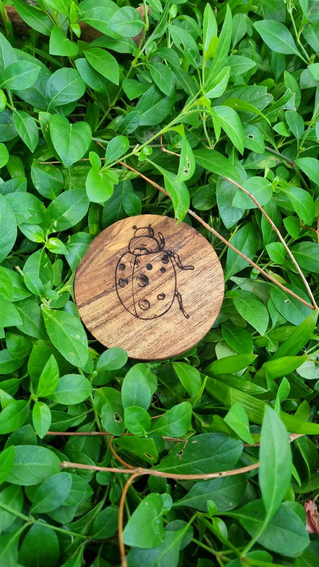 INSECTS Acacia Wood Laser Engraved Custom Coasters