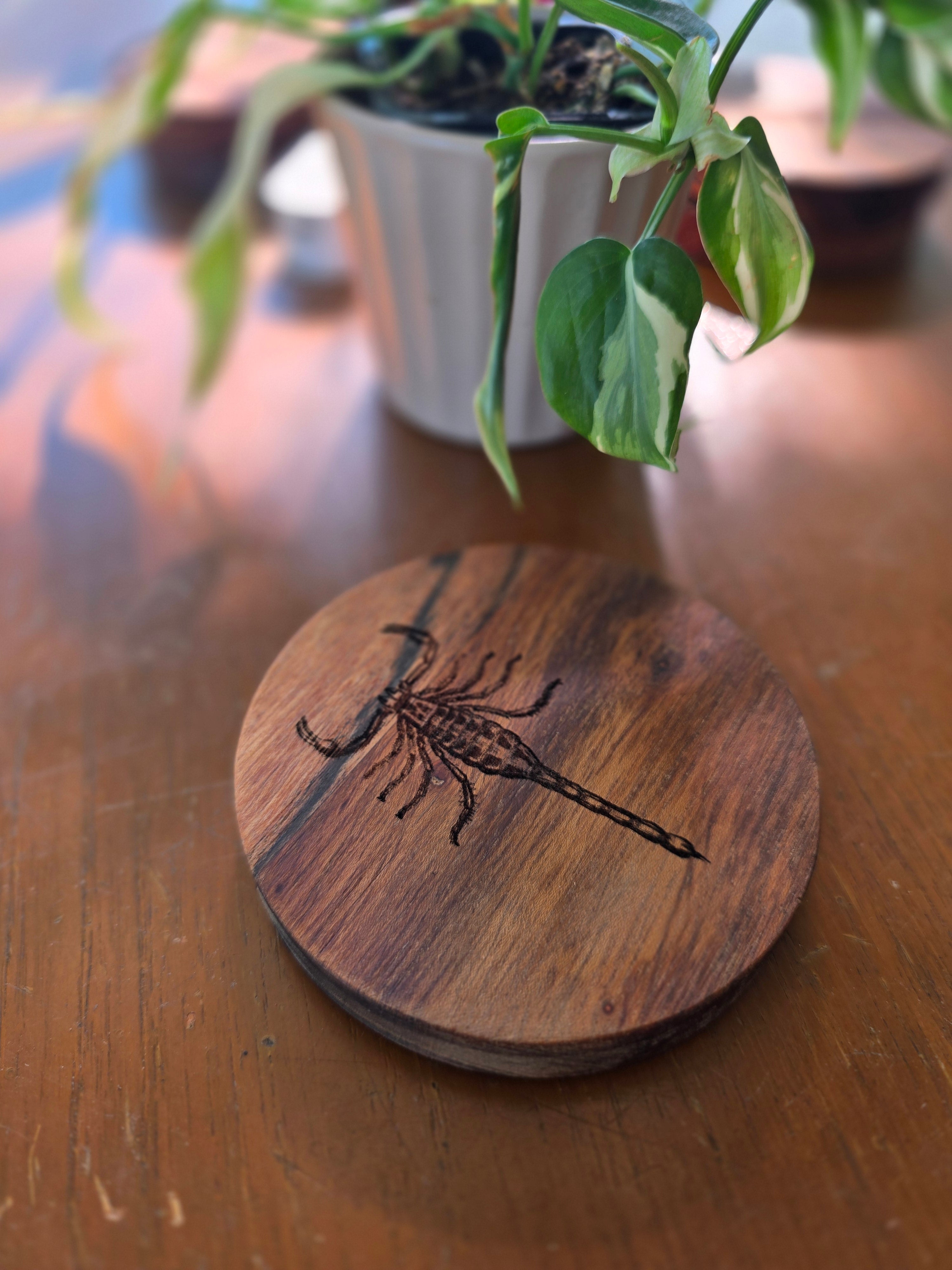 ARACHNIDS Acacia Wood Laser Engraved Custom Coasters