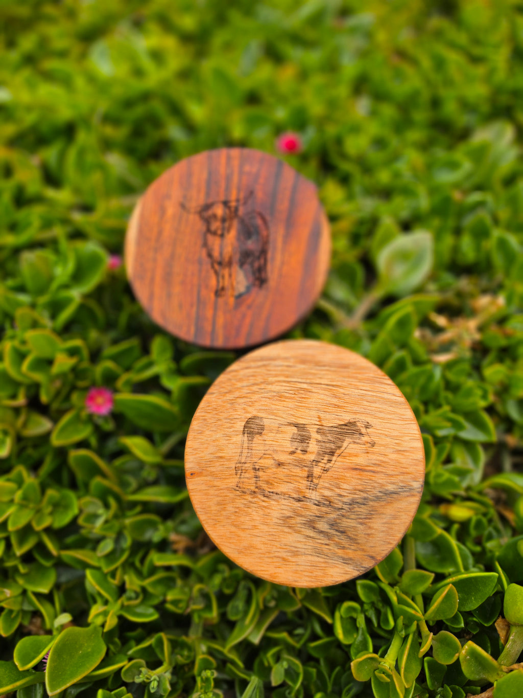 FARM ANIMALS Acacia Wood Laser Engraved Custom Coasters