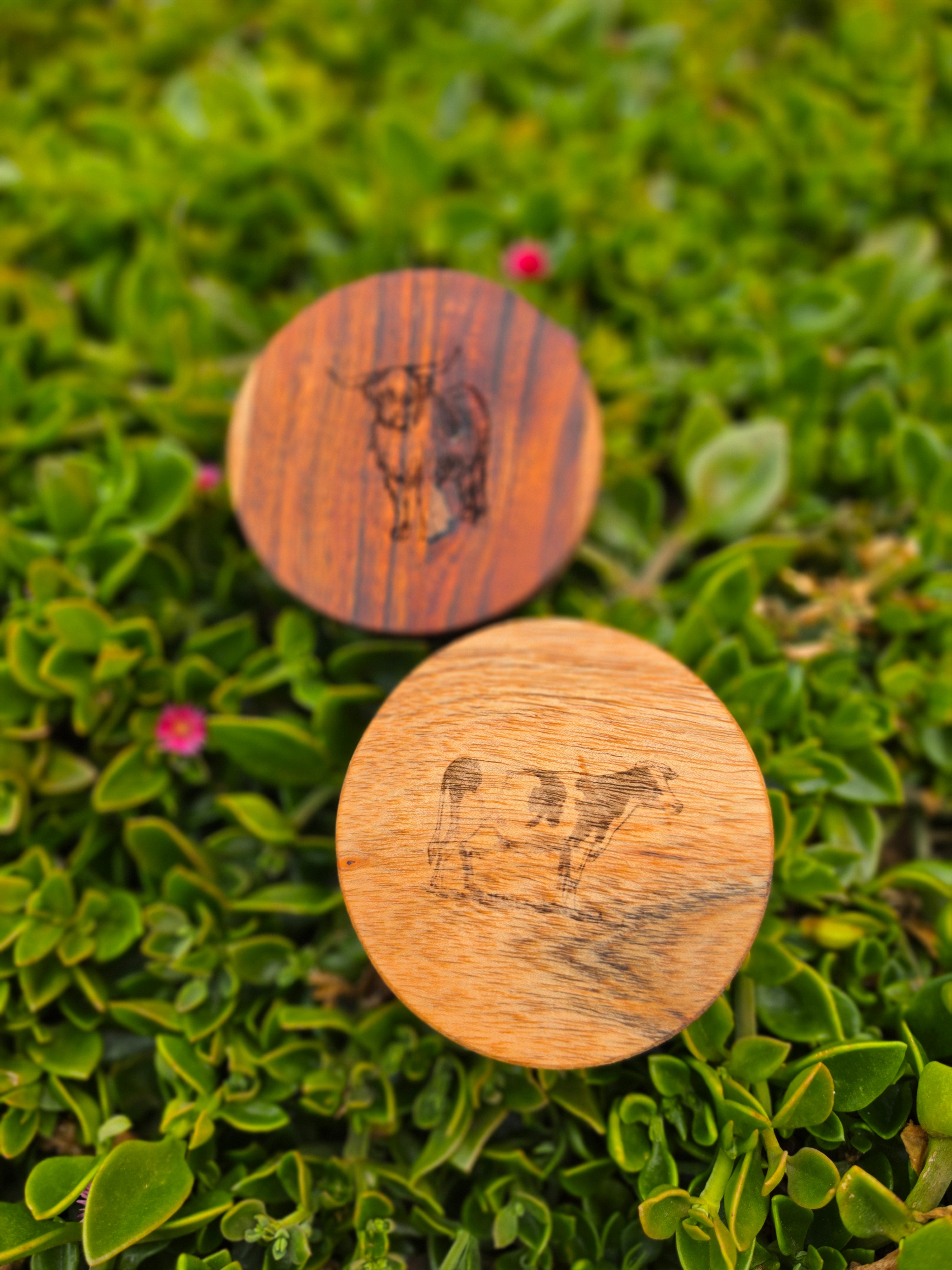 FARM ANIMALS Acacia Wood Laser Engraved Custom Coasters