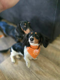 Reversible Doggy Bandana