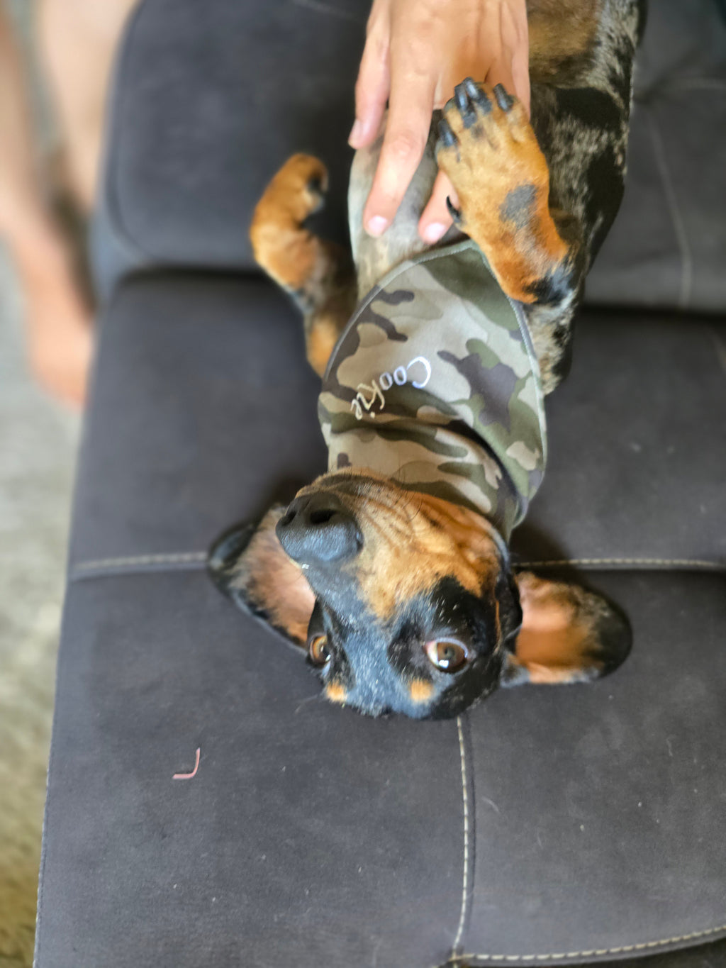 Reversible Doggy Bandana